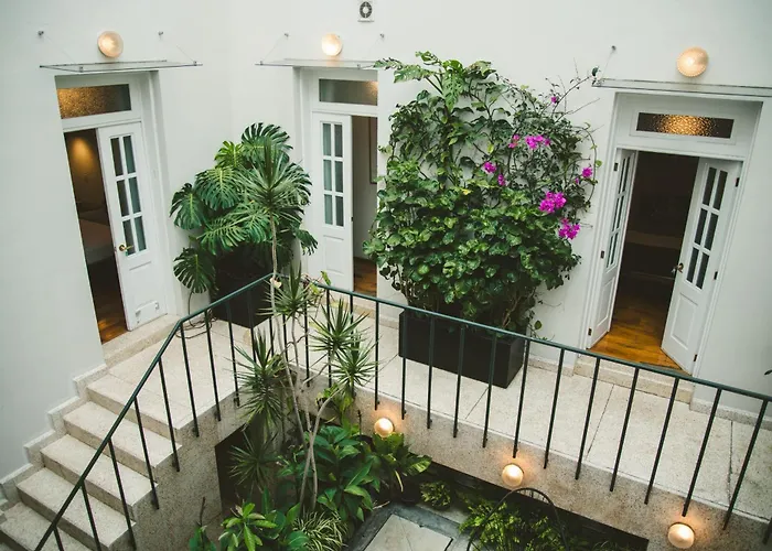 Сasa de vacaciones Stylish Colonial In Roma Norte W Rooftop 8br México DF