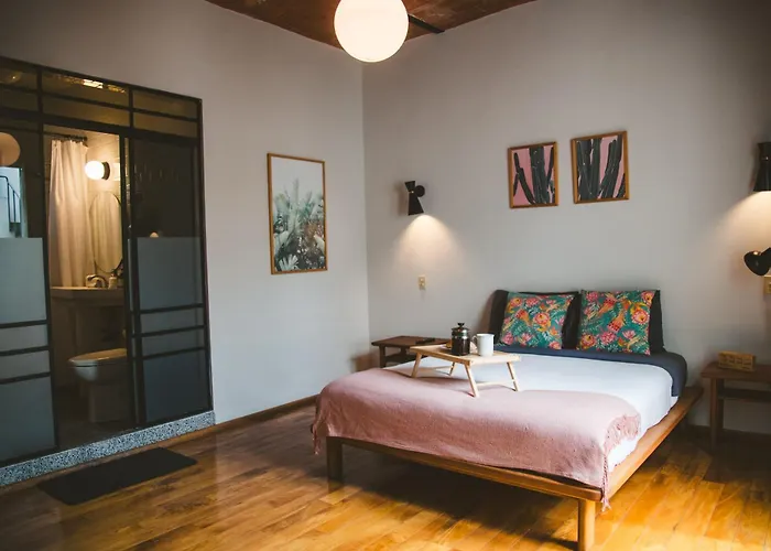 Stylish Colonial In Roma Norte W Rooftop 8br * México DF